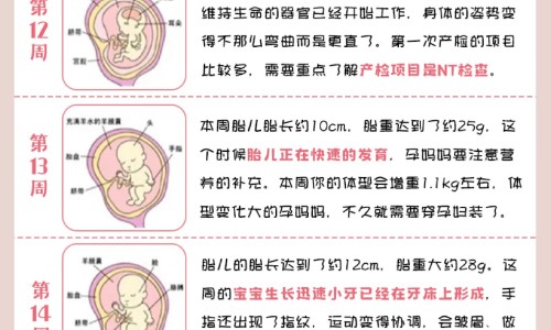 备孕期间吃卵磷脂号码网-分享卵磷脂能帮助着床吗，卵磷脂备孕期间可以吃吗知识库