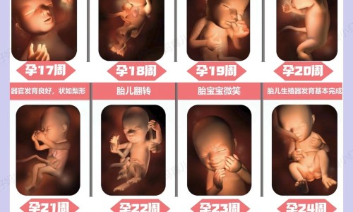 备孕期间吃卵磷脂号码网-分享卵磷脂能帮助着床吗，卵磷脂备孕期间可以吃吗知识库