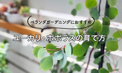 男人吃卵磷脂能备孕吗有效果吗-备孕期间吃卵磷脂号码网-分享卵磷脂能帮助着床吗，卵磷脂备孕期间可以吃吗知识库