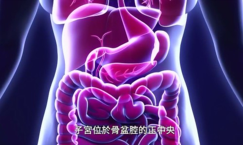 男士吃了卵磷脂络合胶囊能备孕吗-备孕期间吃卵磷脂号码网-分享卵磷脂能帮助着床吗，卵磷脂备孕期间可以吃吗知识库
